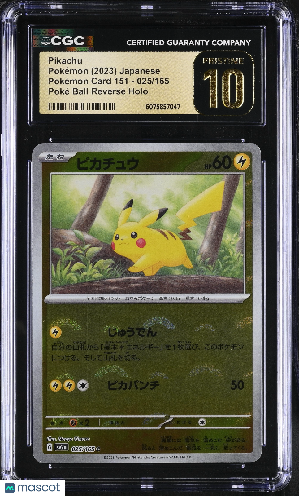2023 Pokemon Pikachu Poké Ball Reverse Holo #025/165 Japanese CGC 10